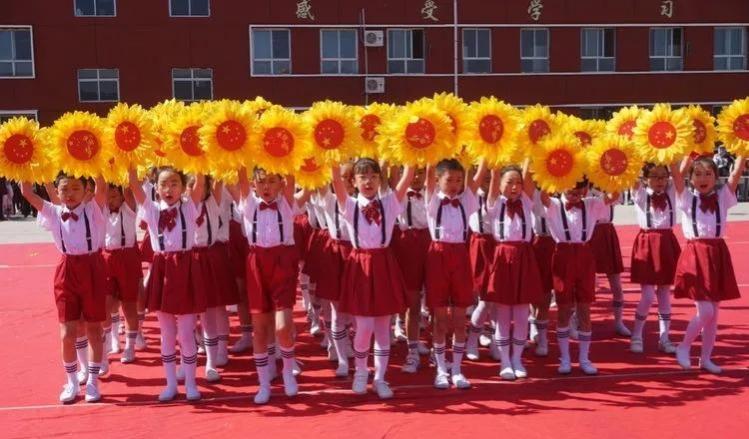 阳高县小学未来教育蓝图，最新发展规划揭秘