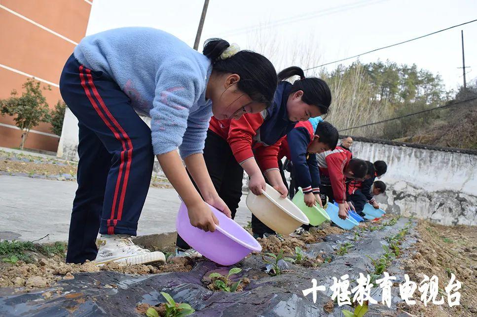 郧西县教育局最新动态报道