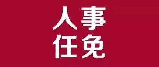 全椒县审计局人事任命揭晓，新篇章开启推动审计事业发展新动力