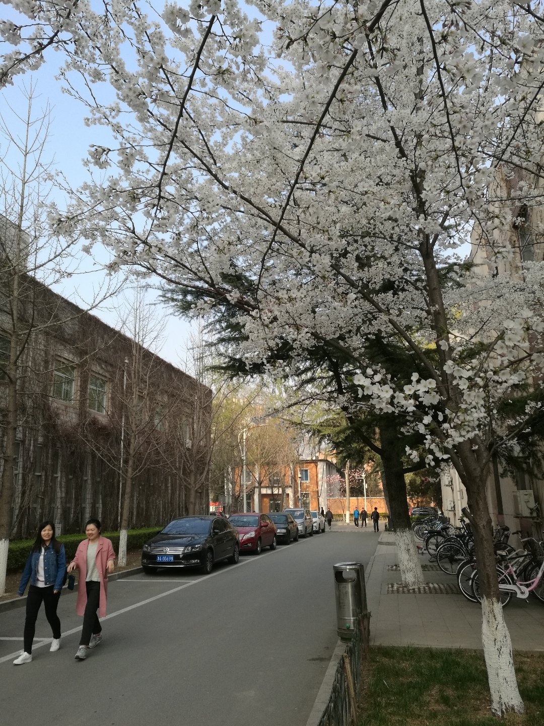 马路街街道天气预报更新通知