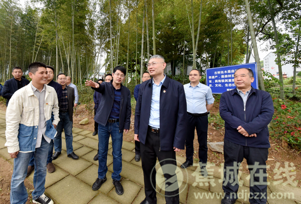 霍童镇最新新闻报道