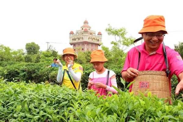 平山茶场最新招聘启事概览