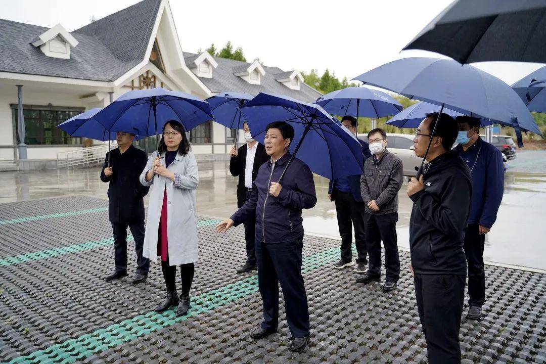 石道河镇新领导团队引领下的新气象展望