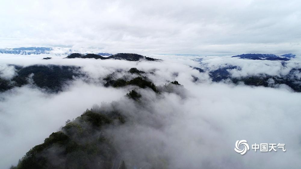 云雾土家族乡最新项目，推动地方发展的强大引擎