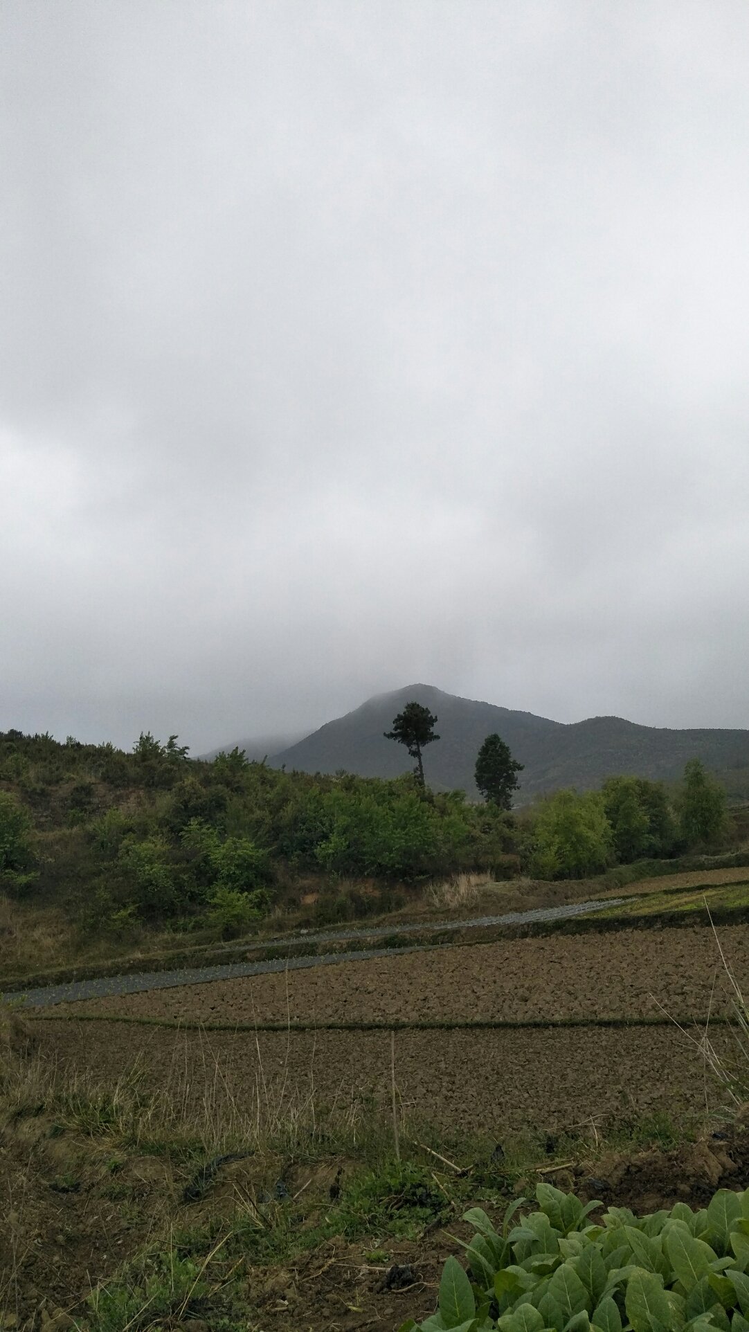 药王满族乡天气预报更新通知