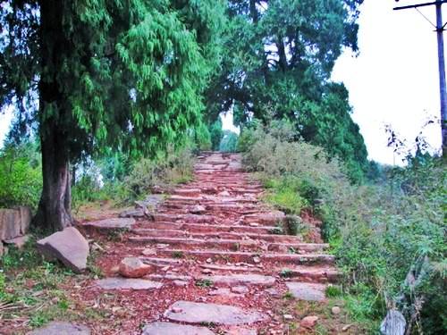 碑梁村交通迈向现代化新里程碑，最新交通新闻报道